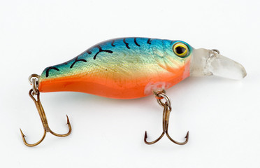 bait