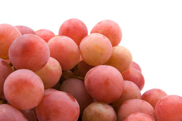 vine grapes
