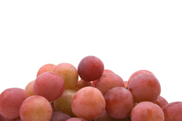 vine grapes