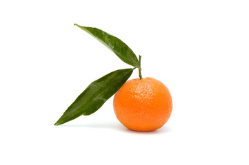 tangerine