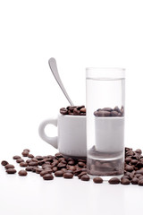 Cofee seed