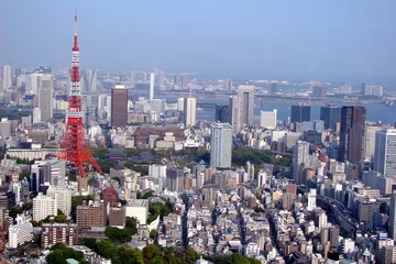 Foto op Plexiglas Panorama van Tokio © Delphotostock