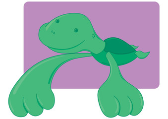 Turtle illustration