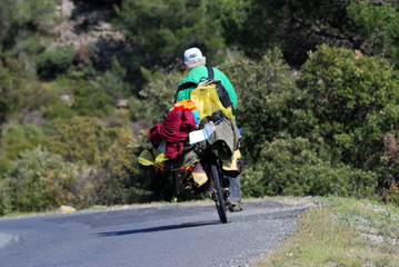 Routard dans la garrigue