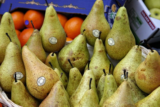 「ウィリアムズ」の画像 733 件の Stock 写真、ベクターおよびビデオ Adobe Stock