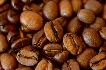 Coffee beans background