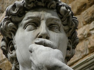Fototapeta premium DAVID BY MICHELANGELO IN PIAZZA DELLA SIGNORIA (FIRENZE, ITALY)