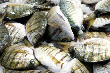Pescado en el mercado