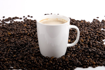 Caffee beans in cup