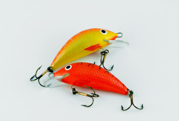 bait