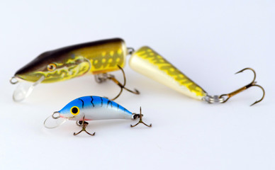 bait