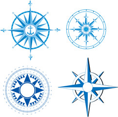 Wind rose