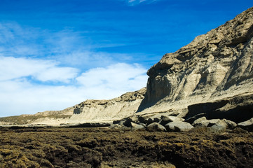 Fototapeta na wymiar Cliff in Puerto Piramide, Valdes peninsula, Patagonia, Argentina
