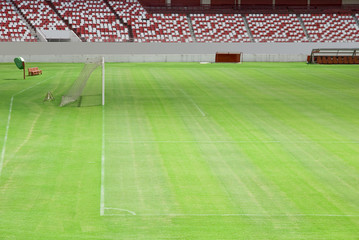 Obraz premium football field