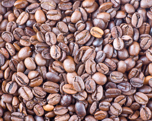 Coffee beans background