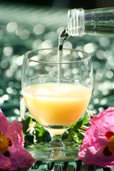 Pastis