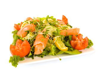 Square Plate filled with smoked salmon salad