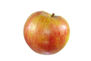 fresh apple