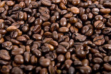 Fresh coffee beans background 
