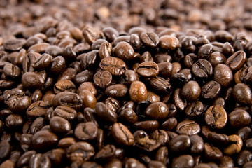 Fresh coffee beans background 