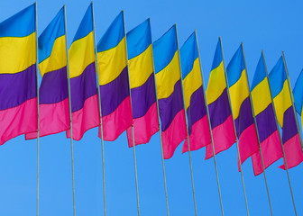 Obraz premium Colorful Flags