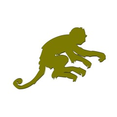monkey
