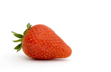 Fresh strawberry with white copyspace