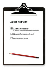 Audit Report