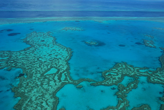 Great Barrier Reef, Queensland. © Marilena Signorini