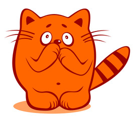 timid cat