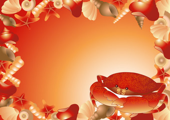 Ocean_frame_with_sea_shells