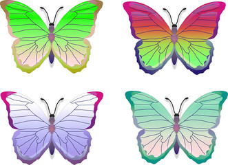 COLORbuttrfly set