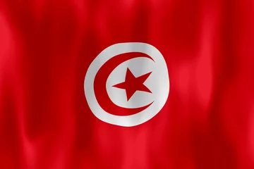 Abwaschbare Fototapete Tunesien tunisie drapeau froissé tunisia crumpled flag