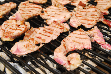 Meat on the grill