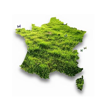 France herbue