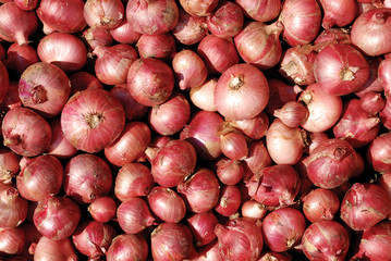 Red onions