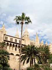 Fototapeta na wymiar Cathedral in Palma