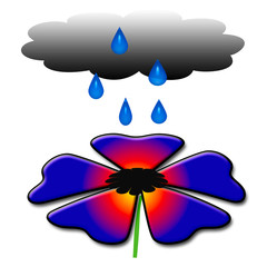 flower in the rain