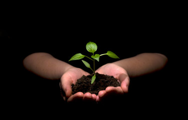 new life
