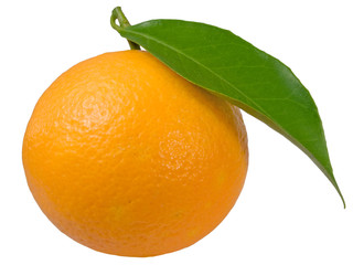 ripe orange with leaf isolated in white