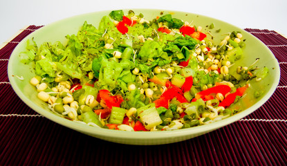 a close-up of fresh green sald with mungo