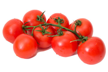 branch of tomatoes