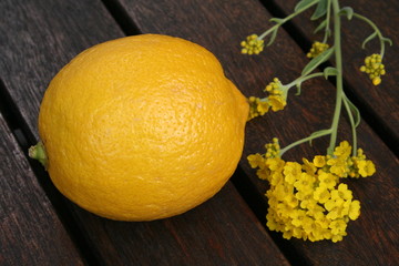 Lemon