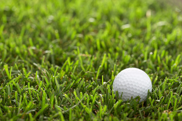 little white golf ball