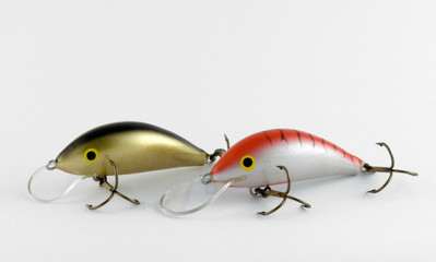 bait