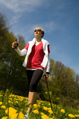 nordic walking 3