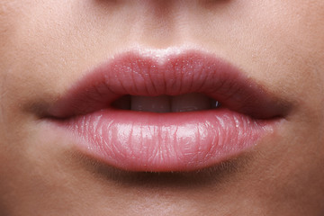 Fototapeta premium lips