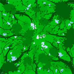 Vector illustration of a forest canopy in summer