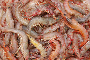 Raw shrimps