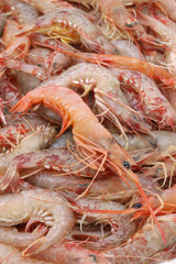 Raw shrimps